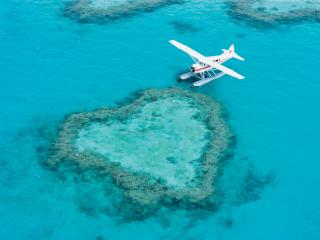 British Tourists Begin Lifetime of Love on Great Barrier Reef