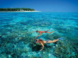 Green Island Reef Snorkeling