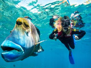 Our Favourite Great Barrier Reef Cruises