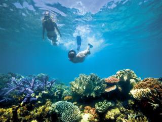 Senate inquiry into $444 million Great Barrier Reef Foundation grant