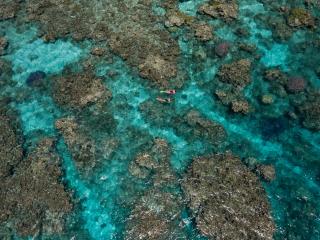 The Great Barrier Reef Is Priceless, So Should We Charge More To Visit?