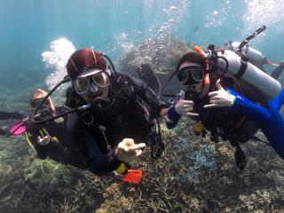 Tourism Industry Recognises Risk To Reef
