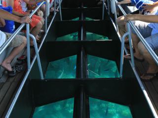Green Island Cruises - Glass Bottom Boat