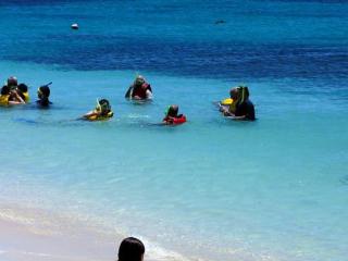 Beach and Snorkelling
